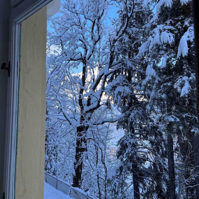Apartment Margarete